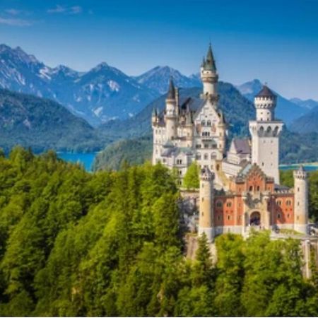 Ferienwohnung Weber Alpenveilchen ليتشبروك المظهر الخارجي الصورة